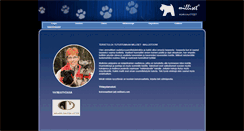 Desktop Screenshot of milliset.com